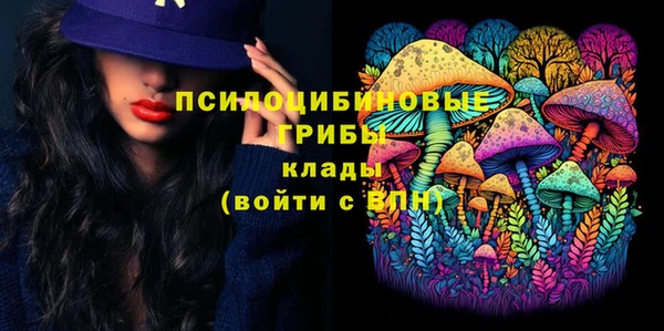дживик Алексин