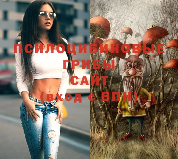 соль ск Алексеевка
