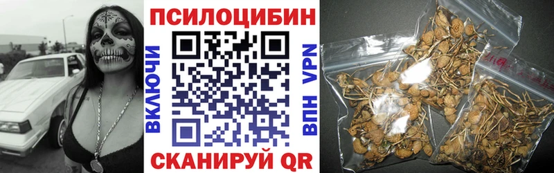 Галлюциногенные грибы Psilocybine cubensis  Данков 